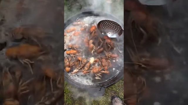Варим раков, жарим мясо #shorts #павелгрозный #тихорецк #раки #варим #вкусно