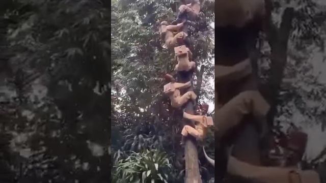 Что здесь происходит?