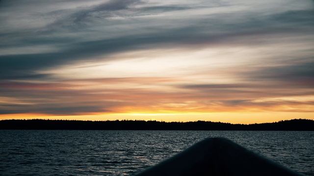 Охота на гуся Карелия 2024