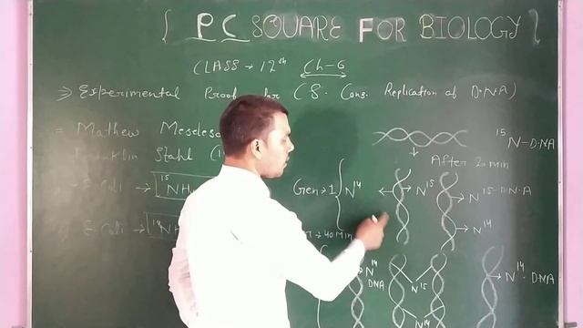 Chapter-6 Molecular bases of inheritance (Schem of semi conservative replication)