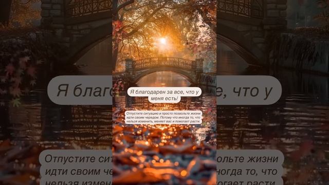 Я благодарен за все, что у меня есть