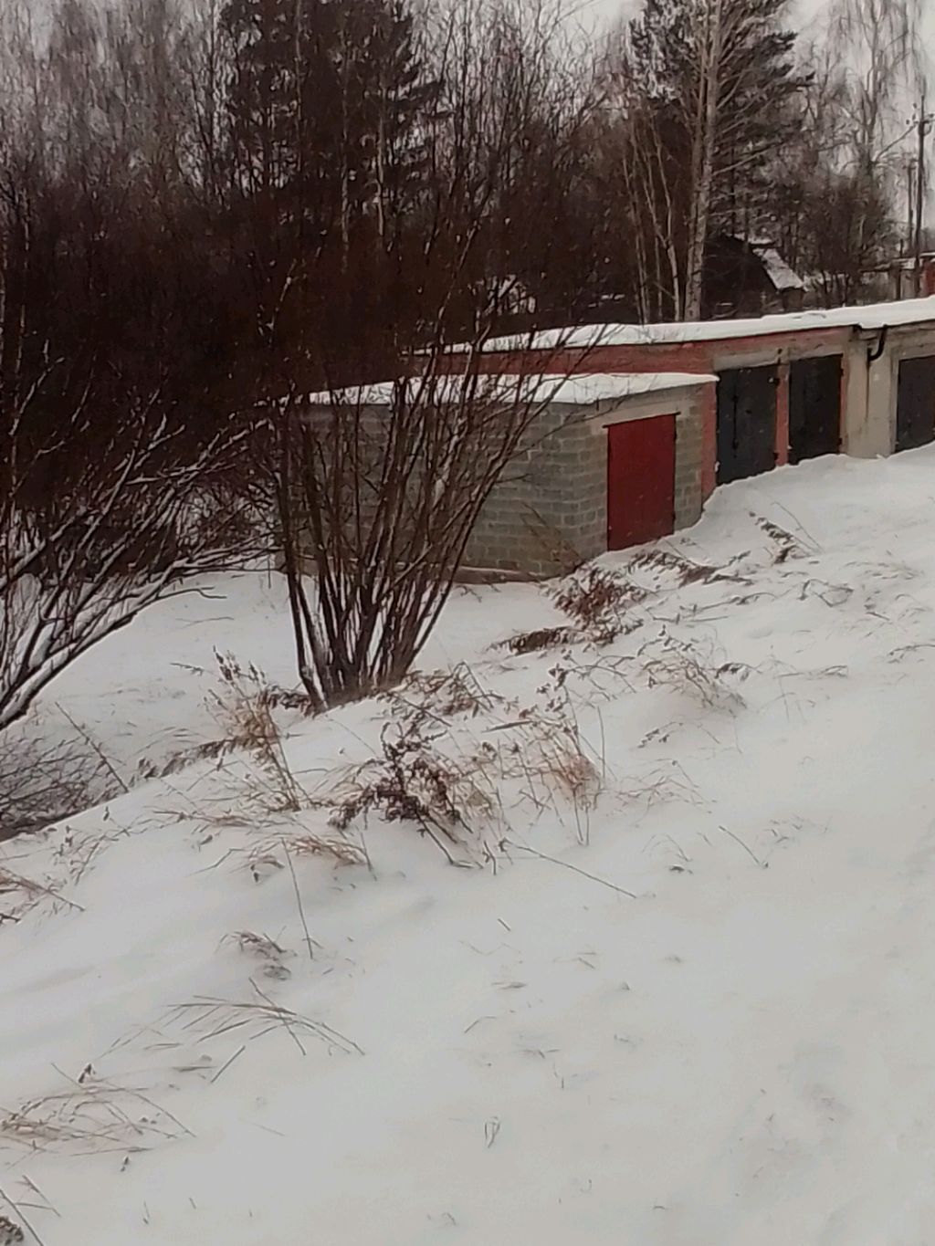катаемся на горке