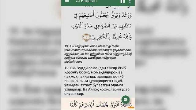 Qurondan Al Baqarah surasi, 19-oyat