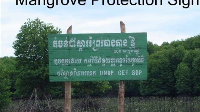 Mangrove and Sea grass Conservation for Coastal Community-Cambodia.wmv