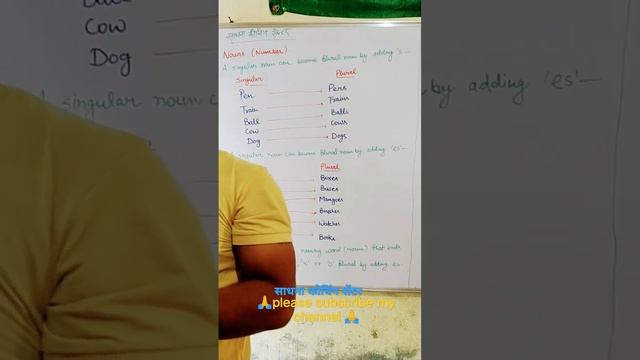 P 1 Noun (Number)l What is plural noun and singular noun? Singular to plural adding s or es grammar