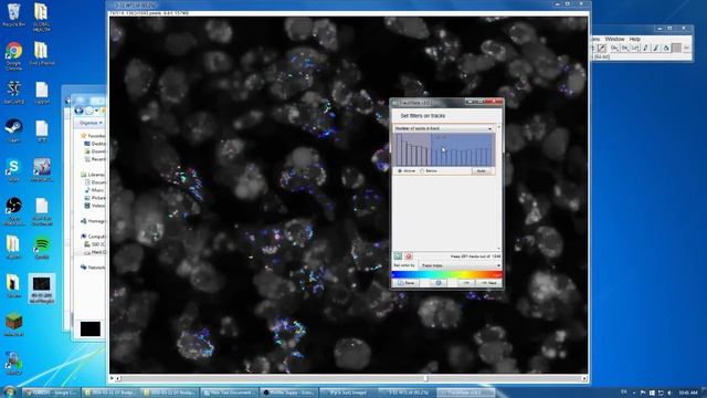 ImageJ Trackmate Moving Lipid Droplet Tracking - DoG Detector