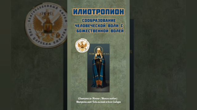 15 ноября 2024 г., пт. РПЦ ЦИ 
#ПравославныйКалендарь 
☦ Прп. исп. схиархим. Пантелеимона Агрикова