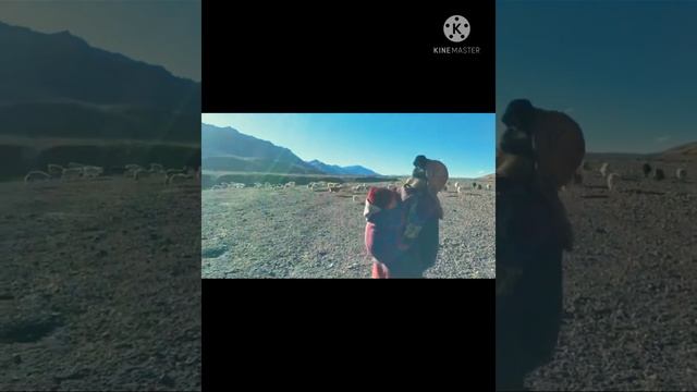 ||LA 01 Short video's || Ladakh short video's|| #Short
