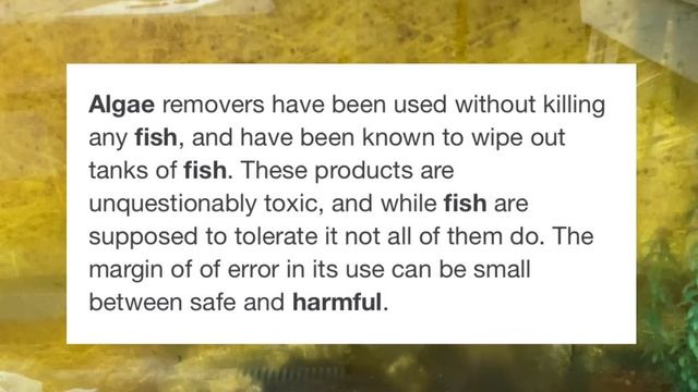 Brown Algae 101: Causes And Cures!