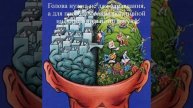 ГОЛОВА НУЖНА НЕ ДЛЯ ОПРАВДАНИЯ...