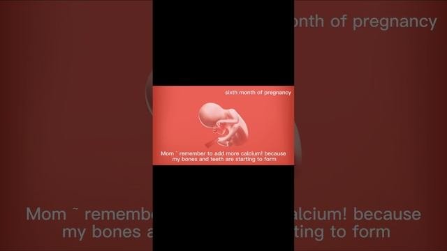 Fetal growth process #shortsvideo  #fetus#parenting
