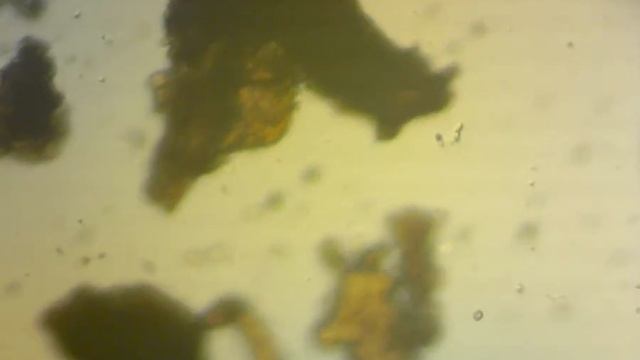 Сравнение 2-х видов крабовых палочек