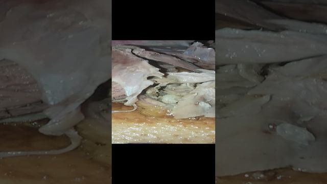 СМОТРЕТЬ СО ЗВУКОМ ДО КОНЦА...