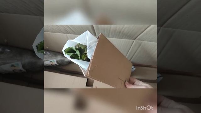 Отзыв Агромаркет (відгук). Получен очередной заказ. Распаковка.