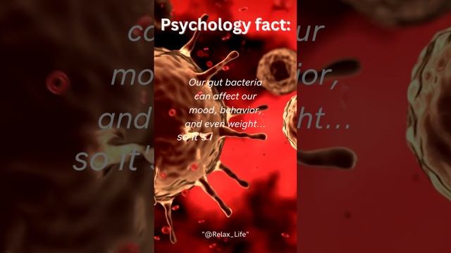 Gut-Brain Connection: How Gut Health Impacts Your Mood and Mental Wellbeing