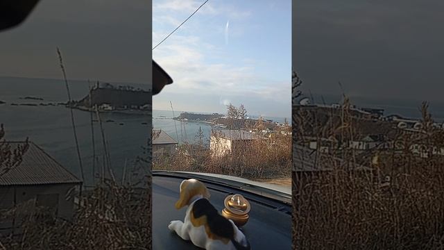 1000027048.mp4
