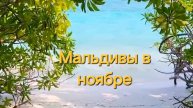 Продолжаю выкладывать видео с Мальдив. Ноябрь 2022 год.