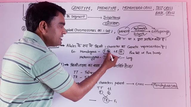 class 12th Genotype,phenotype,gene,genome
