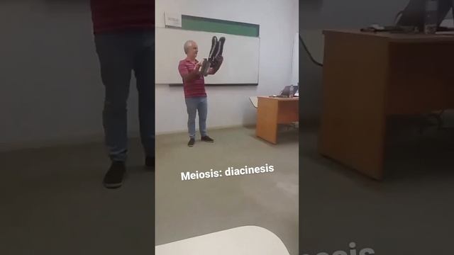 Meiosis Diacinesis Modelo 3D srg
