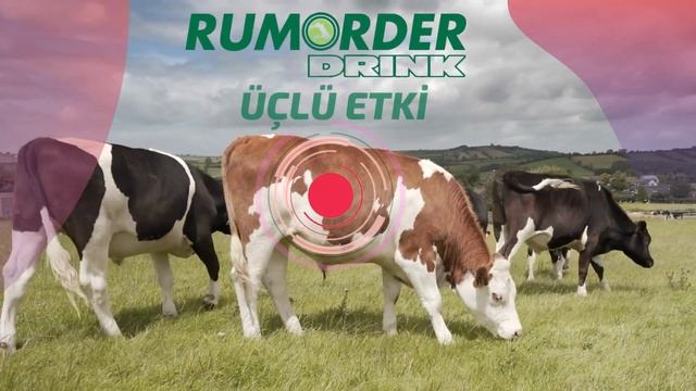 RUMORDER DRINK Biz Rumeni Besleriz