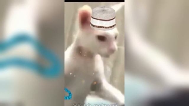 ФАЙЛ СМЕРТИ 2