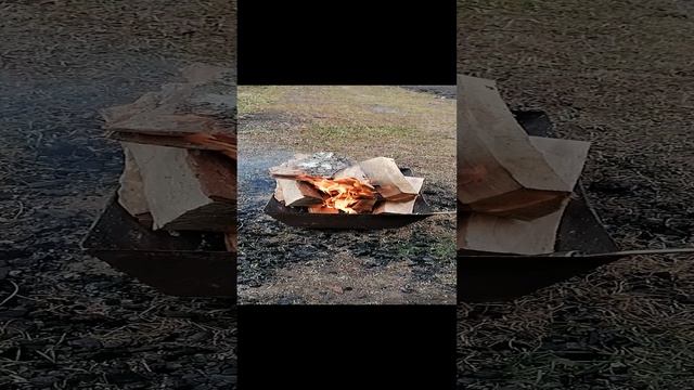 VID_20241107_155248.mp4