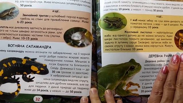 Книга "кто сколько живёт", и коллекция "Морские доисторические хищники"- подробный обзор 🐊🐘🐋🐬