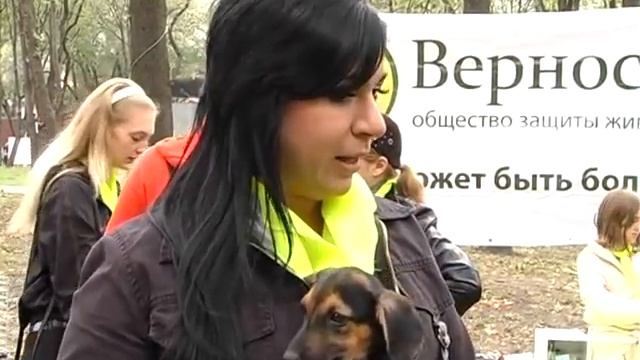 ОЗЖ Верность на День Города