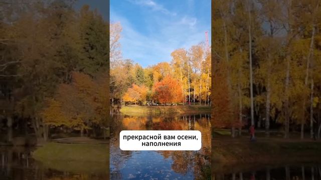 Золотая осень в Петербурге: прощаемся, но ненадолго! 🍁