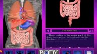 The Intestine Movie from 3-D Body Adventure MS-DOS/Packard Bell Version