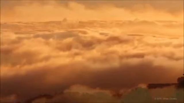 "Удивлённые Куртизаны" - Быть ближе