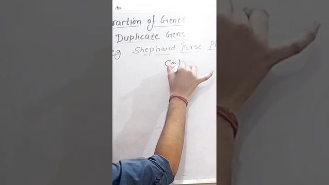 INTERACTION OF GENE | DUPLICATE GENE | GENETICS | SHUBHAM GUPTA