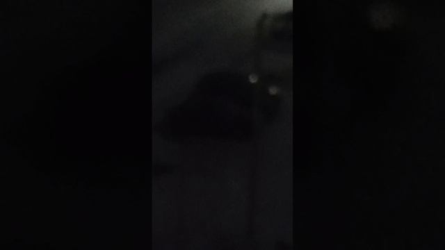 смешное видео 🤣🤣🤣