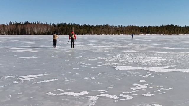 По озеру  Волоярви на коньках. 08.03.2024.