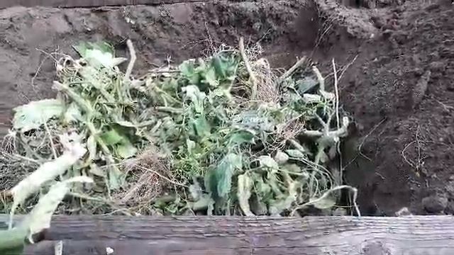 Вот и окончен бал, теплицы опустели....