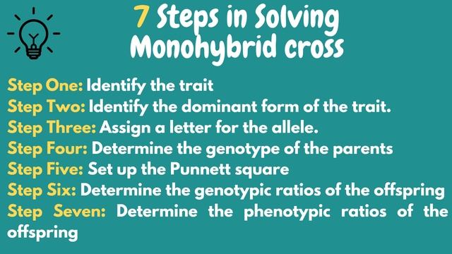 Lesson 2: Monohybrid Cross