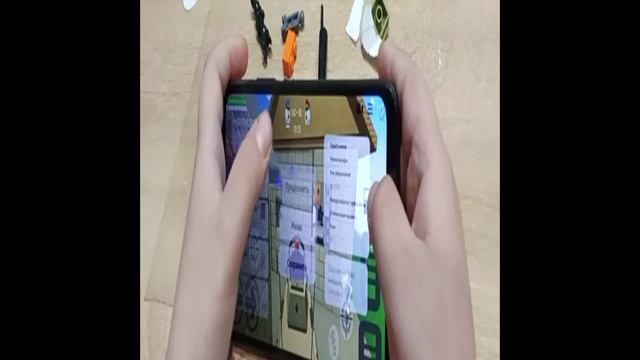 1000007995.mp4