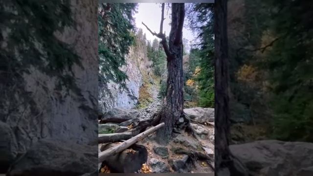 YouCut_20241109_205149808.mp4