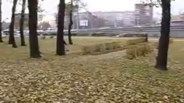 Садик на проспекте Стачек