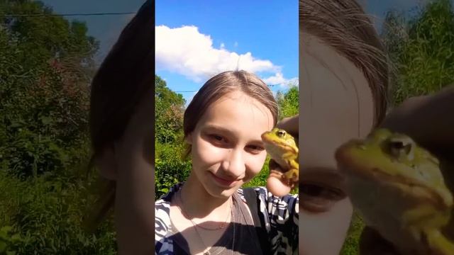 Не водонос, но поф.#животные  #лягушки