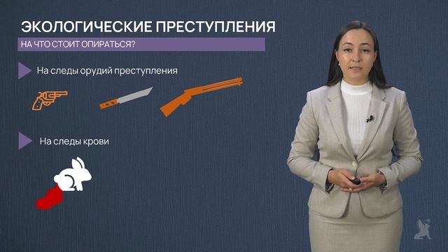 5.32 Исследование следов животных