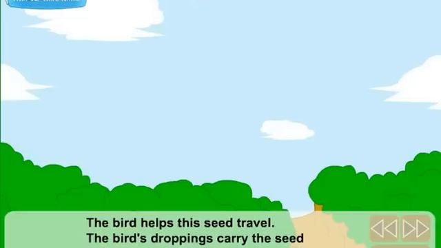 Lesson for Kids - How do seeds travel?