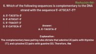 DNA Replication: How Well Do You Know DNA Replication? 10 MCQs to Test Yourself