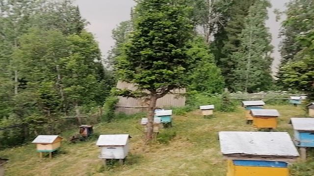 Пасека на Алтае. Делаем крышки.