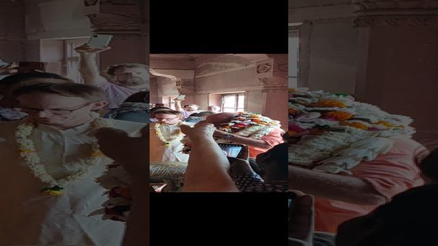 Невероятно много гирлянд одели Шриле Гурудеву. Раздача милости. #вриндаван #картика