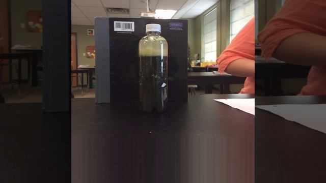 Bottle 3 Winogradsky Carbon and sulfur