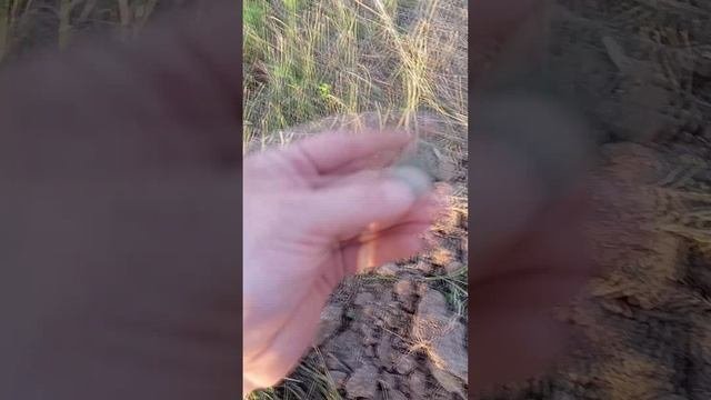 3 копейки