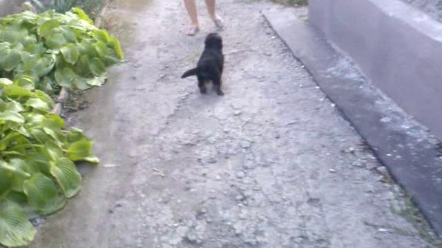 Видео009