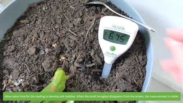 How to Measure Soil pH using the IC-HI981030 Groline Soil pH Tester