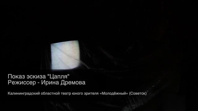 Творческая лаборатория с участием театров Калининградской области